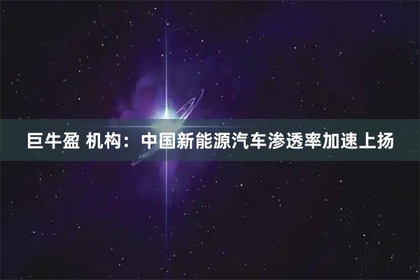 巨牛盈 机构：中国新能源汽车渗透率加速上扬