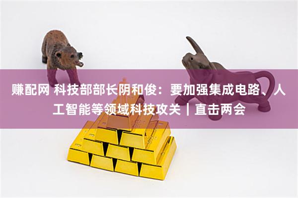 赚配网 科技部部长阴和俊：要加强集成电路、人工智能等领域科技攻关｜直击两会