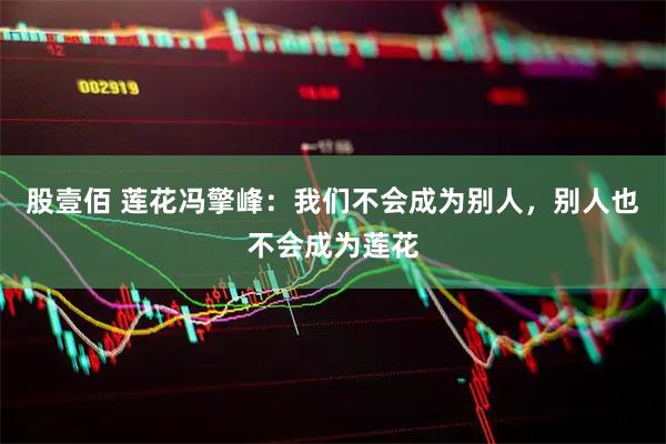 股壹佰 莲花冯擎峰：我们不会成为别人，别人也不会成为莲花